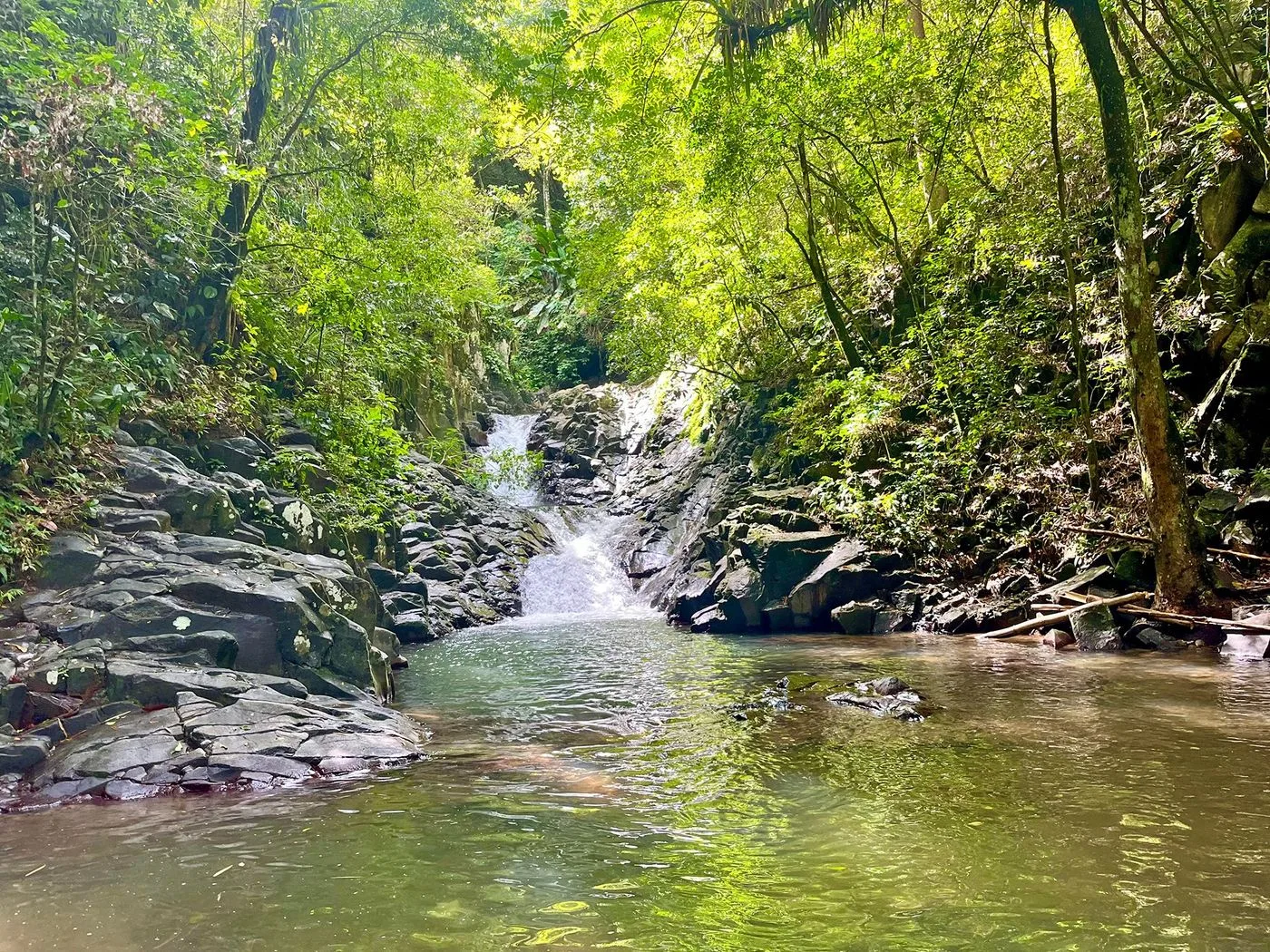 Toboggans du Carbet